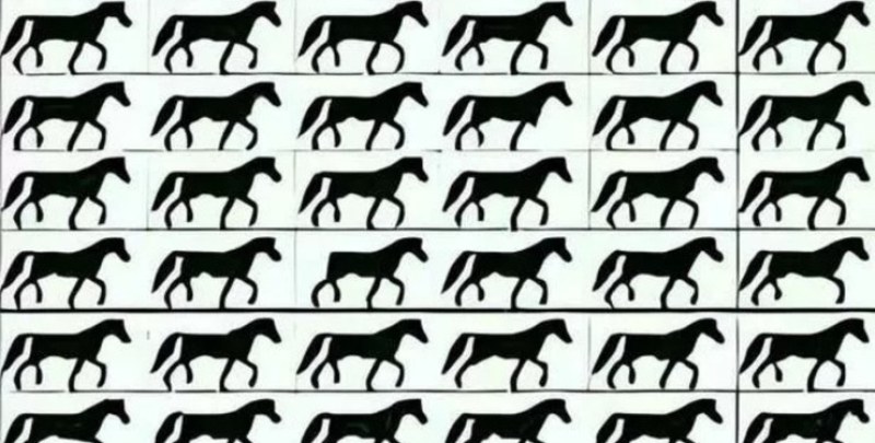 Само хора с перфектно зрение могат да намерят коня без опашка