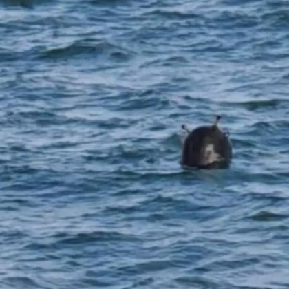 ВМС разкри броя на мините, унищожени в български води