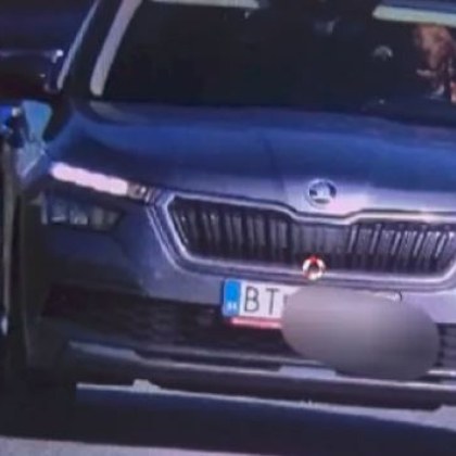 Полицията в Словакия глоби собственика на автомобил управляван от куче Нарушението