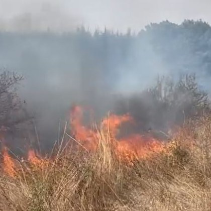 Голям пожар в района на Хасково Огънят е избухнал до