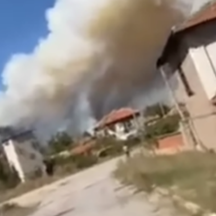 Пожар избухна край село Мъдрец община Гълъбово Горят иглолистни и