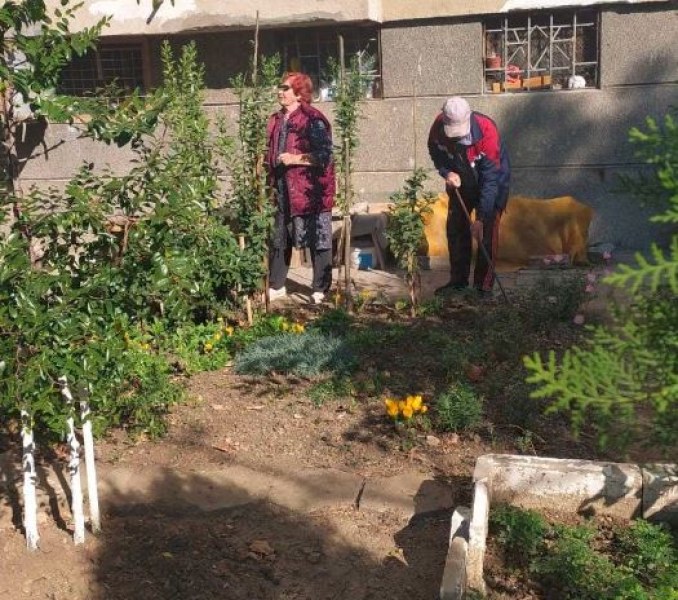 Баба и дядо по на 85 години се грижат за градинка пред блока  СНИМКИ