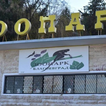 Пет мъртви животни откриха в събота в зоопарка в Благоевград