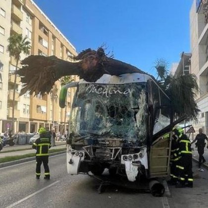Трима души загинаха в Испания след като автобус излезе от