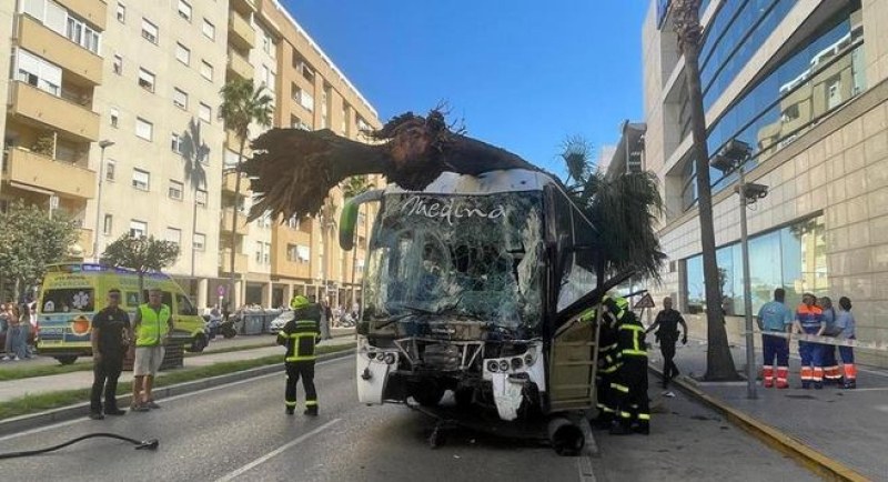 Трима души загинаха в Испания, след като автобус излезе от