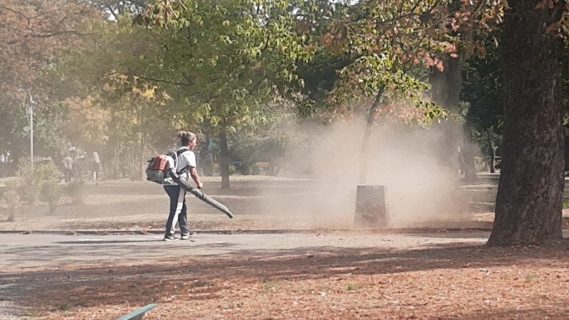 Столичанин за почистването на парк: Не се диша! СНИМКИ
