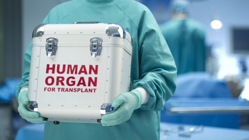 Учени успяха да спрат отхвърлянето на трансплантирани органи с нов метод