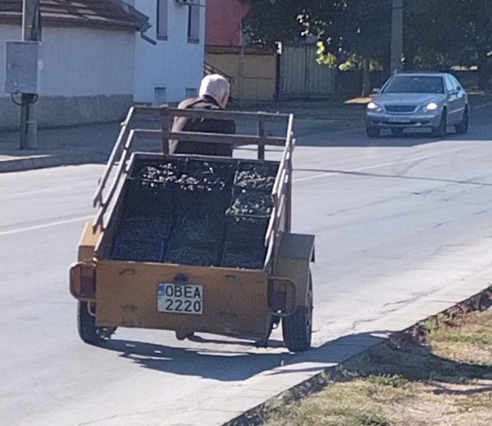 Белокос мъж влачи ремарке по улиците на Ловеч под равнодушните ни погледи ВИДЕО