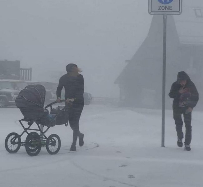 Първи сняг зарадва и Германия ВИДЕО+СНИМКИ