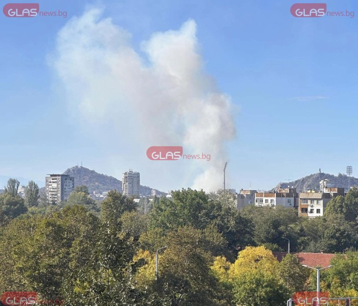 Пожар край Околовръстното на Пловдив ВИДЕО+СНИМКИ