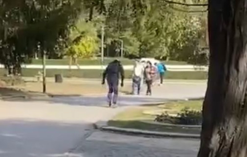 Скиор покара из София, привлече погледите на всички ВИДЕО