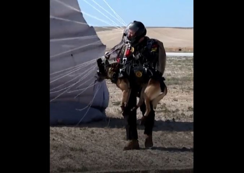 Спускат с парашут кучета в труднодостъпни райони в Турция ВИДЕО