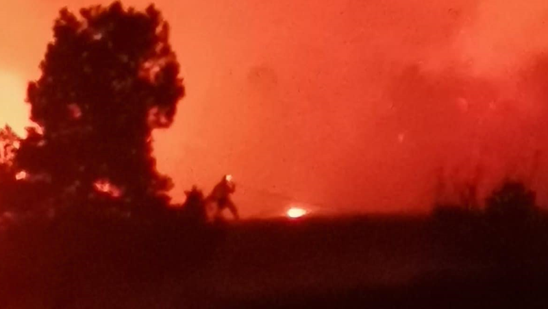 Локализиран е пожарът край село Искрец, община Своге, съобщиха от
