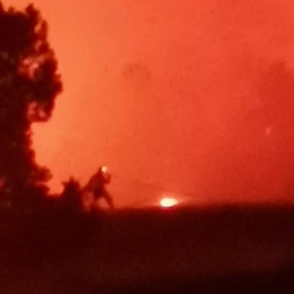 Локализиран е пожарът край село Искрец община Своге съобщиха от