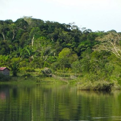 Река Амазонка която се счита за най голямата като дължина площ