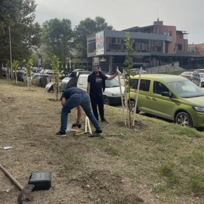 Доброволците от Браво Пловдив   днес засадиха 36 дървета  на ул