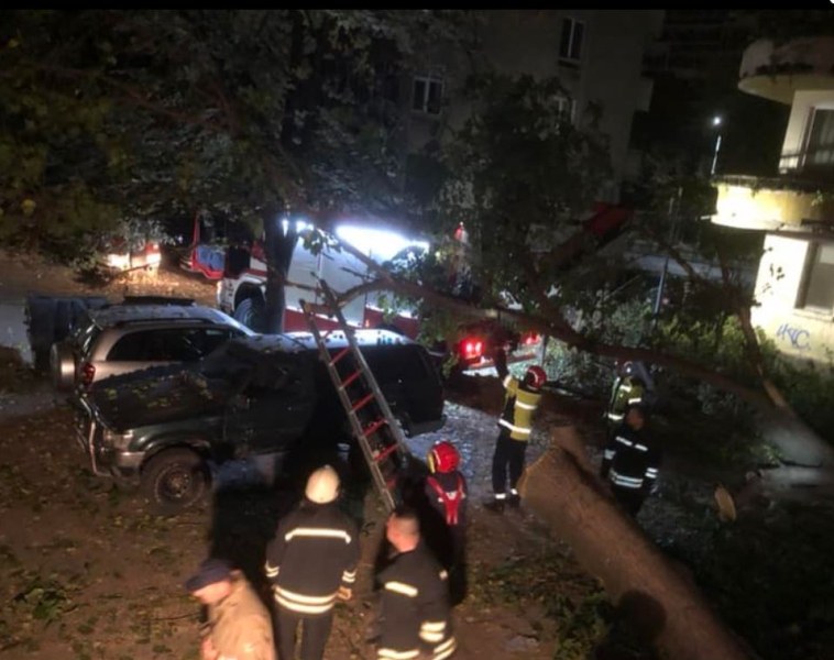 Дърво потроши много коли в Пловдив, шофьор се размина на косъм СНИМКИ