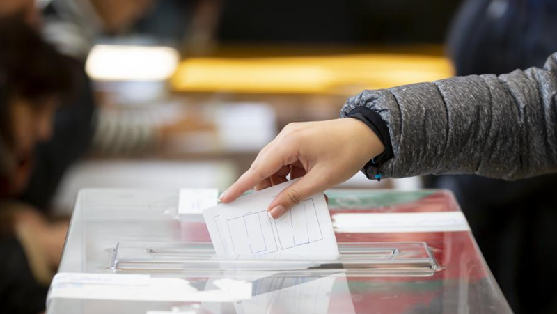 ЦИК с първи данни за вота: Увеличава се разликата между Григорова и Хекимян