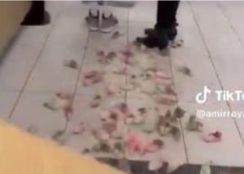 Активисти изхвърлиха живи боядисани мишки в Макдоналдс ВИДЕО