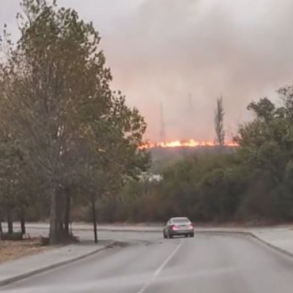 Пожар гори край гробищния парк в димитровградския квартал Марийно Огънят е обхванал