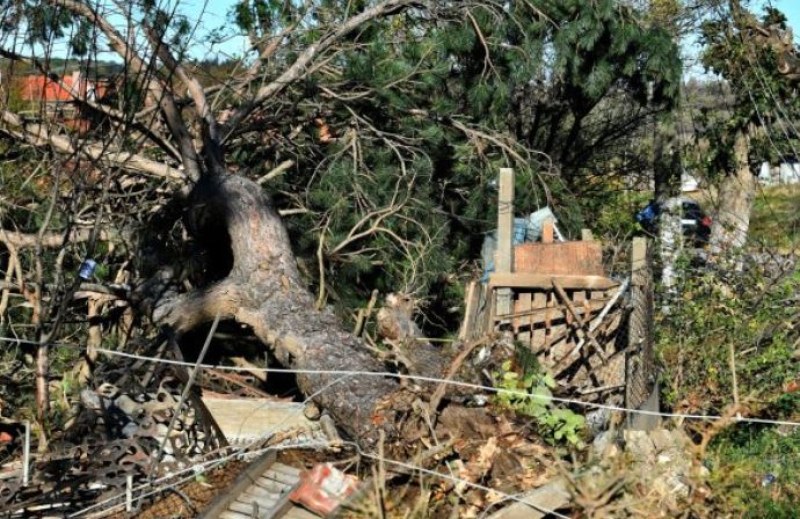 Десетки доброволци помагат в разрушеното от стихията Лъвино