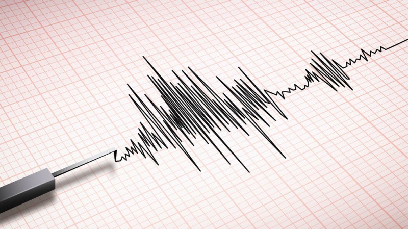 Земетресение с магнитуд 4,2 беше регистрирано в 19:48 в румънския