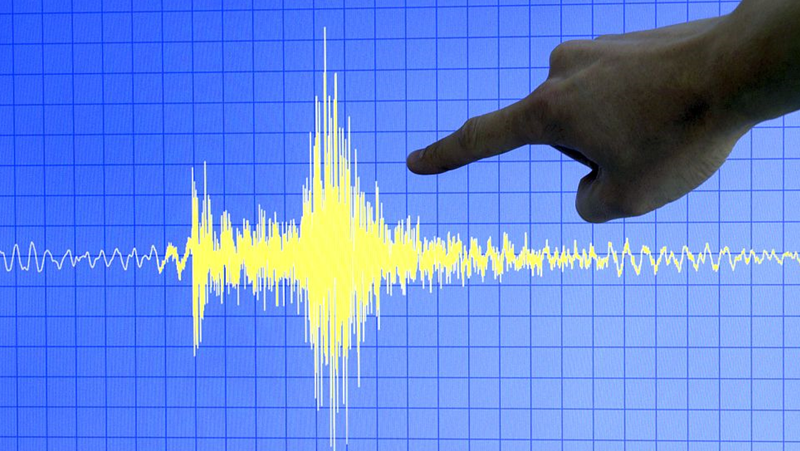 Земетресение с магнитуд 5 бе регистрирано край югозападния американски щат