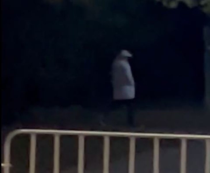Мъж следи момиче край парк, дебне зад дървета ВИДЕО