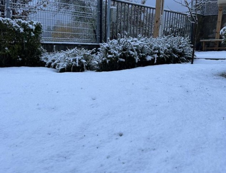 Близо 20 см сняг е натрупал в села в община 