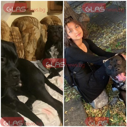 Ана Семерджиева е собственикът на питбулите убили домашното куче Макси