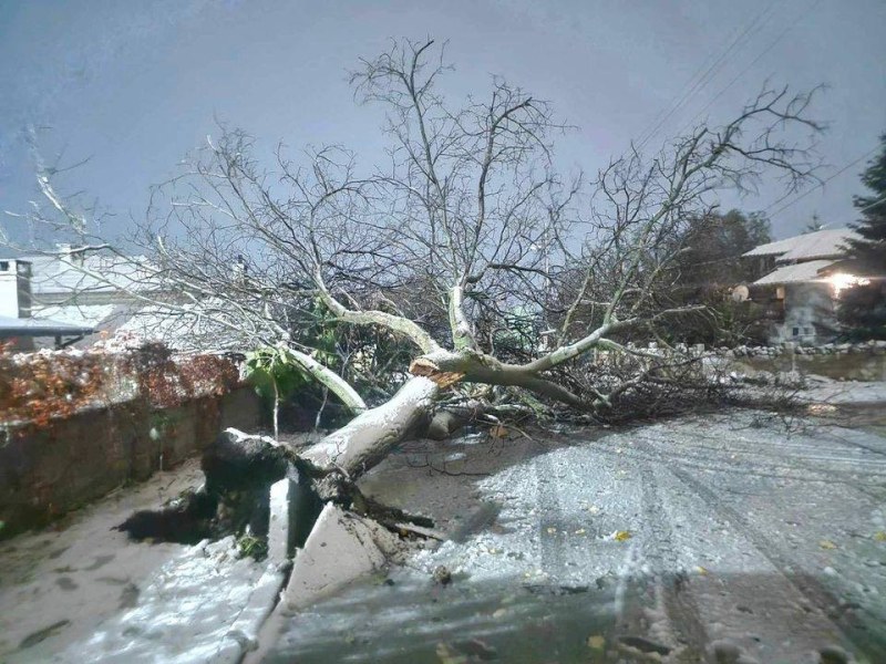 Трагедия! Втора жертва на бурята в България СНИМКИ*