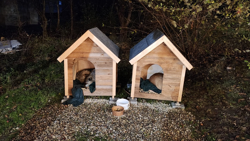 Направиха къщички за бездомни животни край ресторант в София СНИМКИ