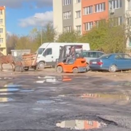Потрес! Кон тегли закъсал мотокар в София ВИДЕО