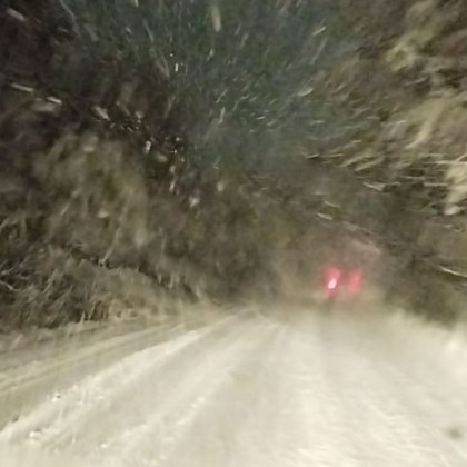 Отменени полети и блокирани пътища след снеговалежа в България Нови четири