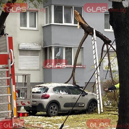 Продължава отстраняването на щетите след снеговалежа в Пловдив Няколко екипа