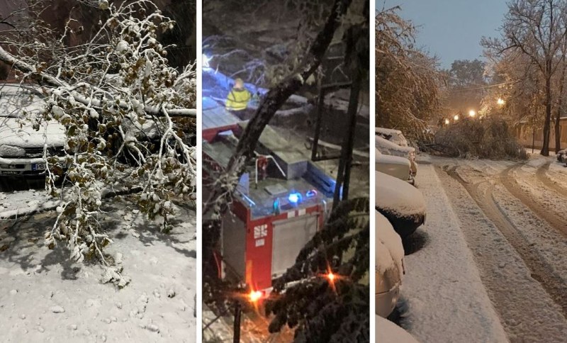 Паднали дървета блокираха улици и коли в Пловдив СНИМКИ