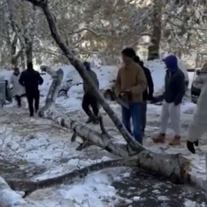 Столичани грабнаха резачките, борят сами щетите ВИДЕО