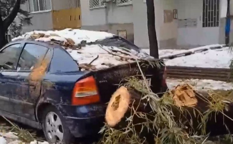 Пловдивчанка се закани да съди община Пловдив