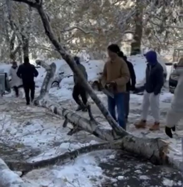 Столичани грабнаха резачките, борят сами щетите ВИДЕО