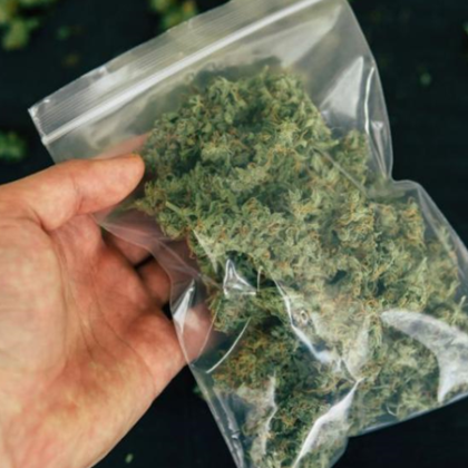 Полицията в Стара Загора залови 30 пакета марихуана по време