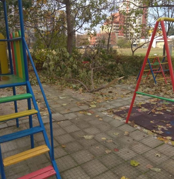 Без вятър или сняг: Клон падна на детска площадка СНИМКИ