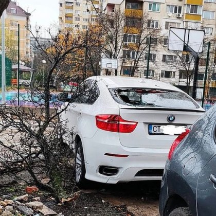 Пореден случай при който паднал клон потроши кола в София