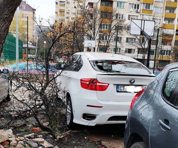 Отново! Клон потроши БМВ в София СНИМКА