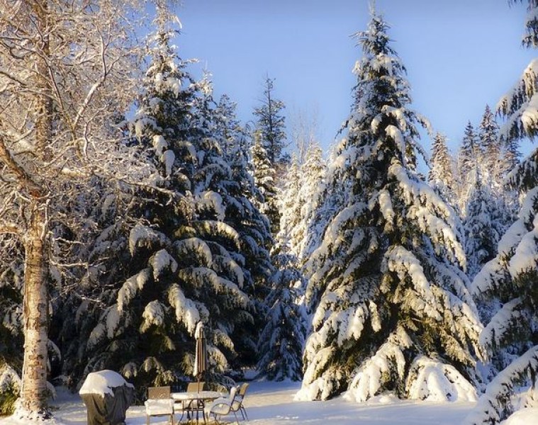 Валежи от сняг и дъжд ни очакват днес