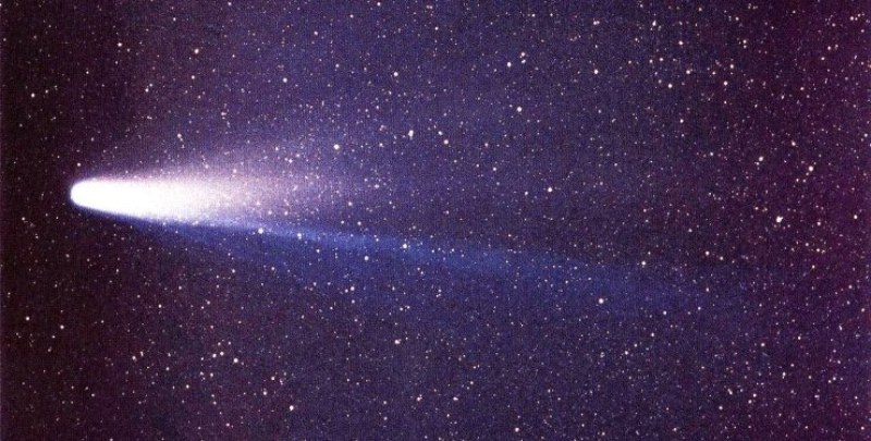 Вероятно всеки е чувал за Халеевата комета, която е ярка