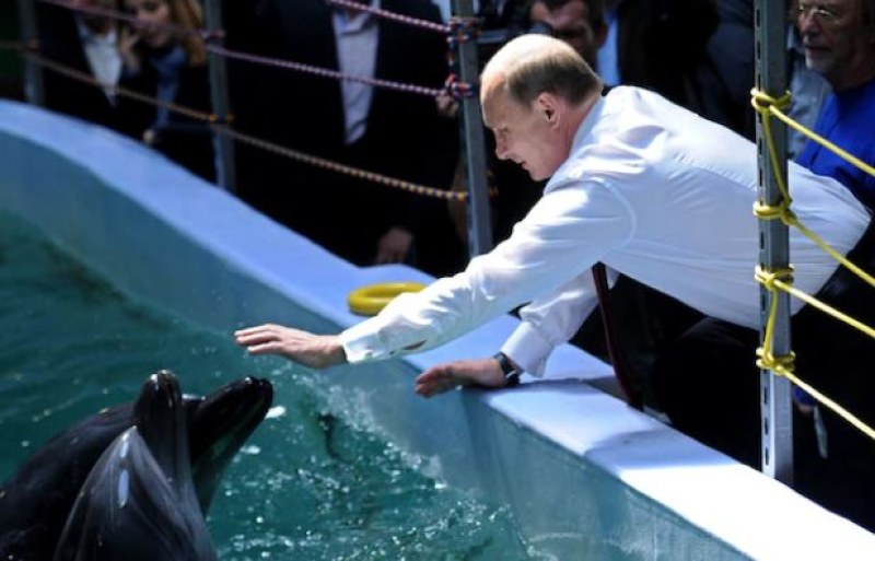 Къде са бойните делфини на Путин?