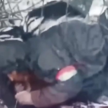 Ранен руски войник лежи с трупове 10 дни, ядейки сняг. Умиращ украинец му помогна