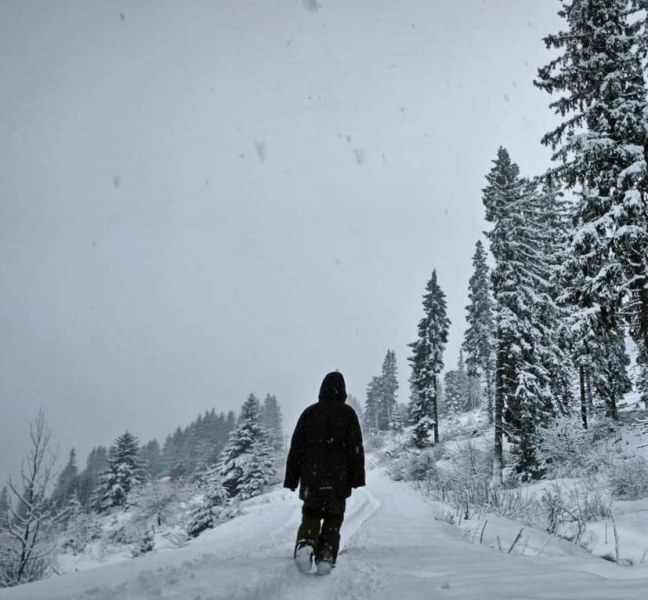 Снежна приказка в родни планини, натрупа цели 30 сантиметра сняг СНИМКИ+ВИДЕО
