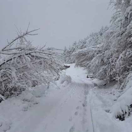 Над 30 сантиметра е падналият сняг в планинските части на