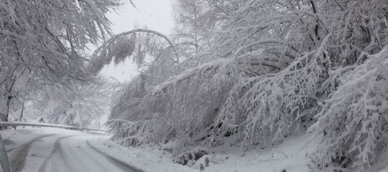 Няколко населени места в Кюстендилско са без ток